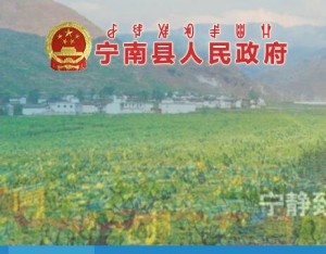 宁南县人民医院医学装备招标代理机构备选库入库比选公告