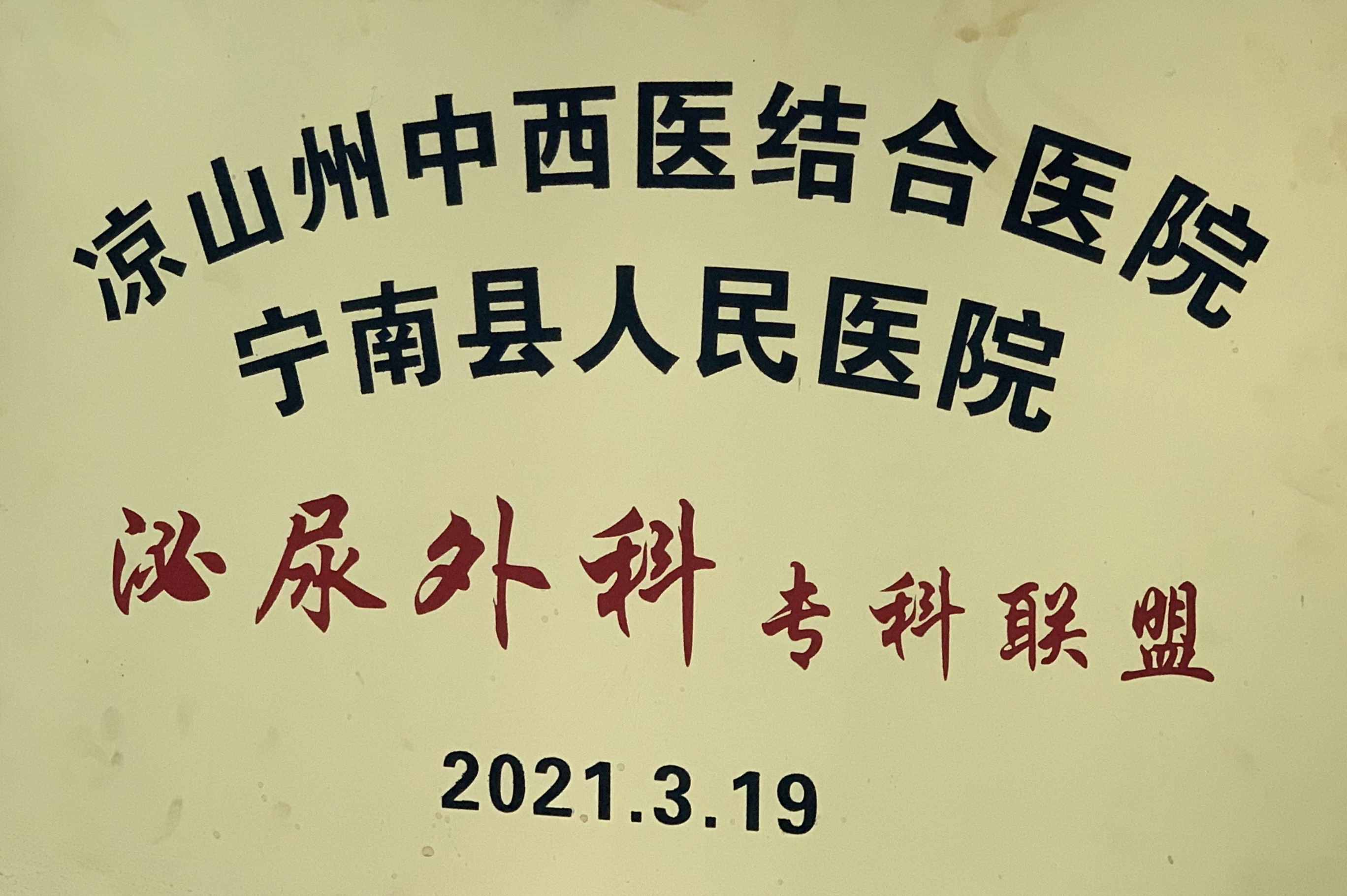 凉山州中西医结合医院与宁南县人民医院建立泌尿外科专科联盟