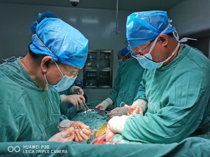 宁南县人民医院成功开展首例食管癌根治手术