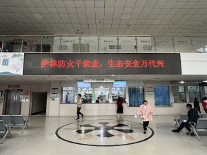 宁南县人民医院多措并举筑牢森林防火安全防线