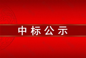 四川省凉山彝族自治州宁南县人民医院2020年医疗设备采购项目（第二批）公开招标中标公告