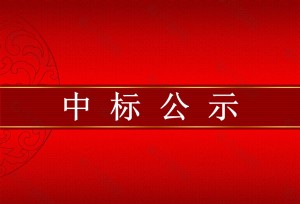 四川省凉山彝族自治州宁南县宁南县人民医院人民医院2020医疗设备采购项目（第一批）公开招标中标公告