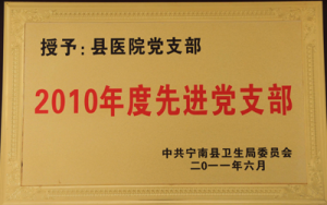 2010年度先进党支部