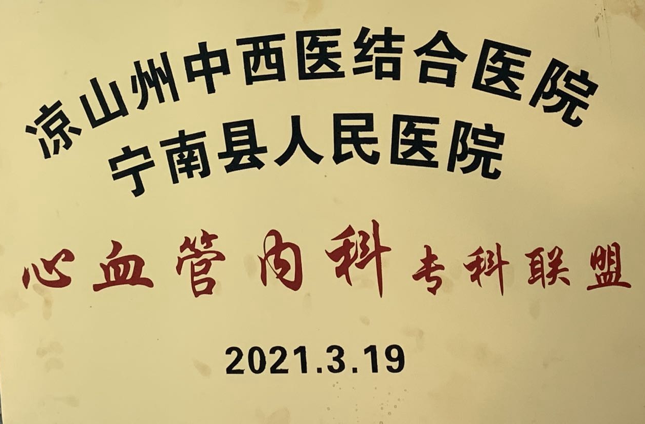 凉山州中西医结合医院与宁南县人民医院建立心血管内科专科联盟